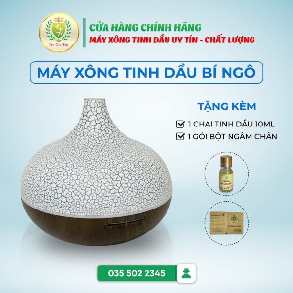 Máy xông tinh dầu bí ngô