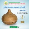 Máy xông tinh dầu bí ngô