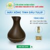 máy xông tinh dầu tulip